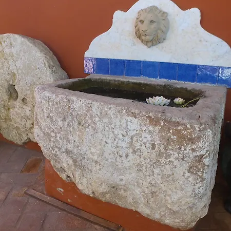 La Vida Loca 3* Benalmadena